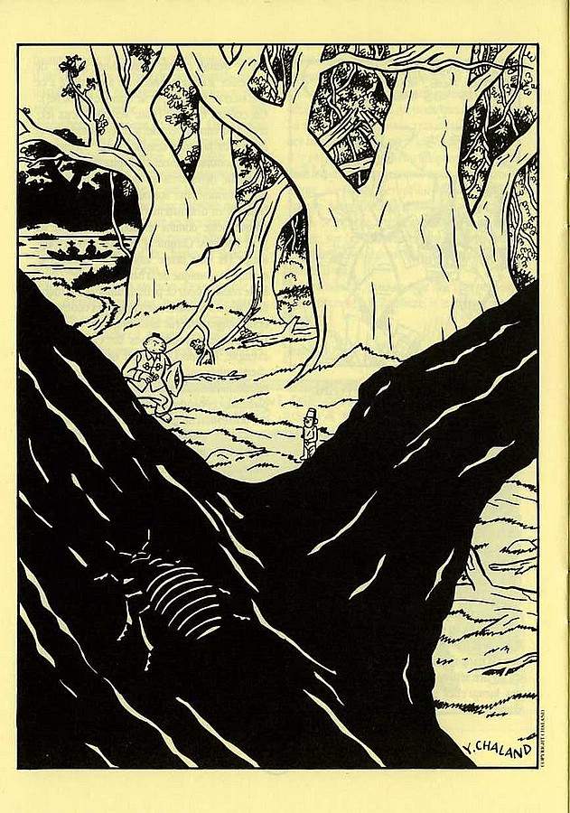 13-page_12.jpg