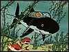Tintin 03
